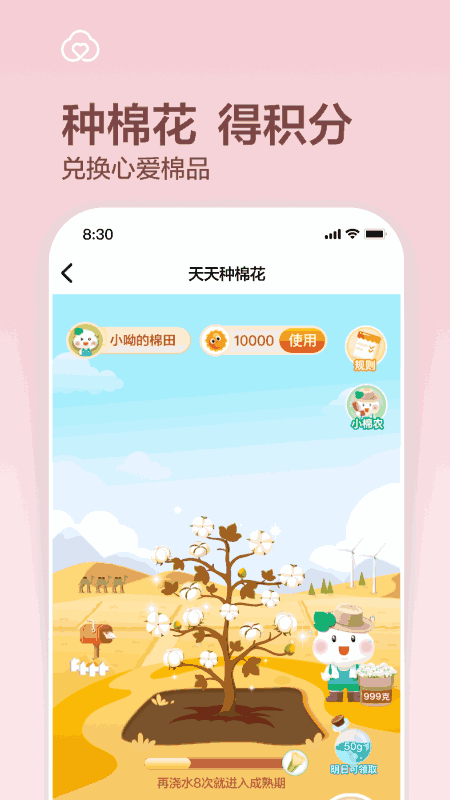 全棉时代